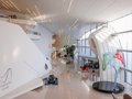 Biomimetic Ergonomics: Nature's Blueprint for Workplace Wellness